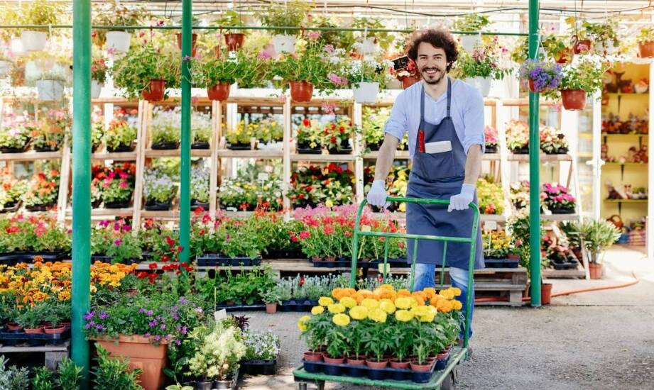 Wybór odpowiedniej spalinowej glebogryzarki dla początkujących ogrodników