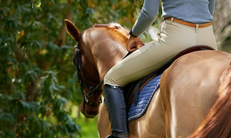 Jak nowe technologie zmieniają sposób trenowania koni?