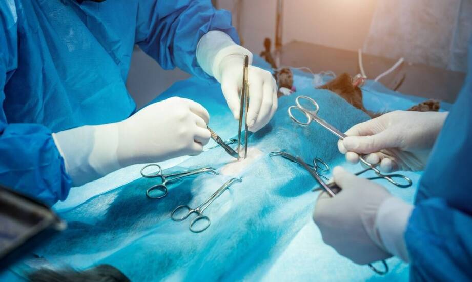 Rola chirurgii w korekcji zniekształceń kości