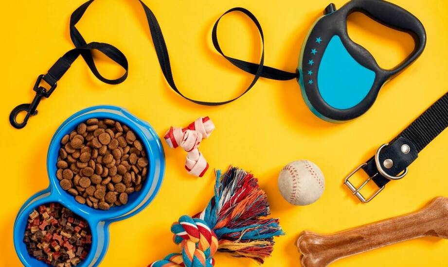 Zróżnicowane zestawy dla psów – co zawierają i dlaczego warto je wybrać?