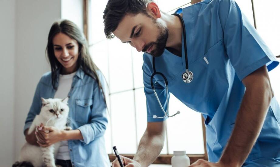 Druki weterynaryjne – dlaczego warto postawić na wysoką jakość?