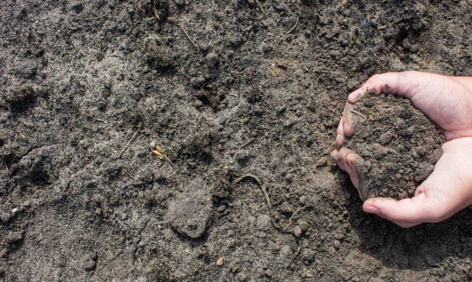 Wyjątkowe wyzwania związane z remediacją skażonych gleb substancjami ropopochodnymi