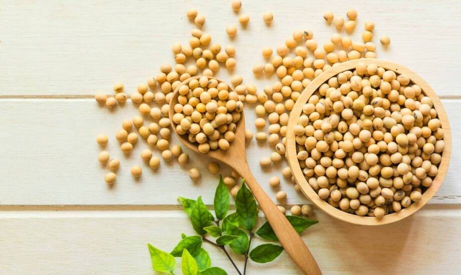 Gorczyca jako kluczowy element w strategii poprawy plonów.