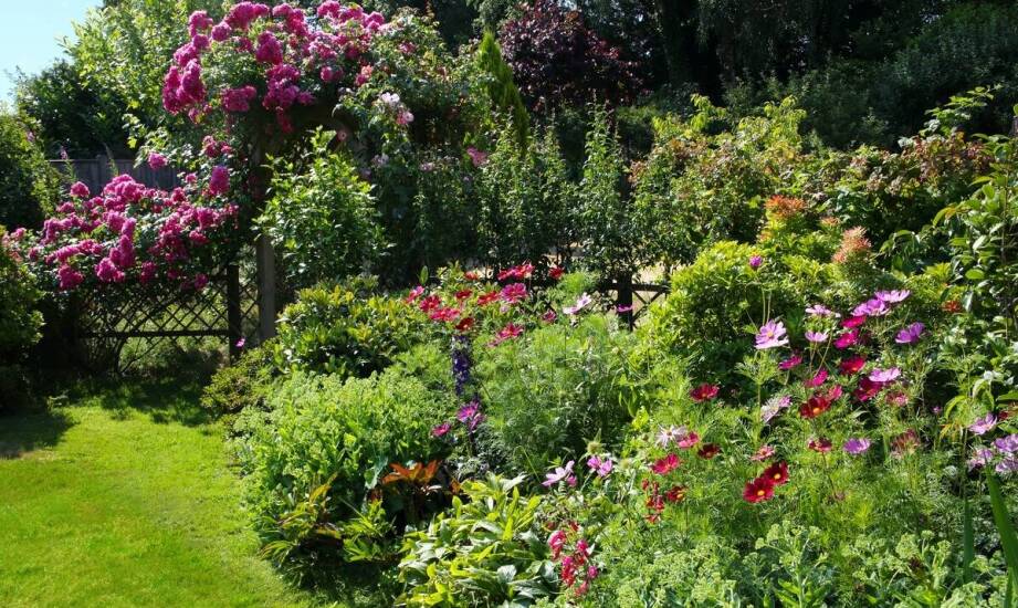 Jakie wieloletnie rośliny najlepiej sprawdzą się w ogrodach na Podlasiu?