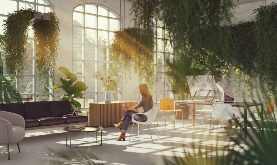 Wpływ zieleni na komfort pracy w biurach: jakie wybrać rośliny?