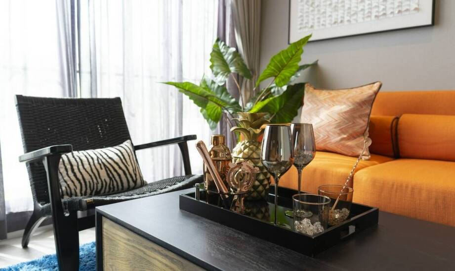 Jakie kolekcjonerskie sansewierie warto mieć w swojej domowej dżungli?