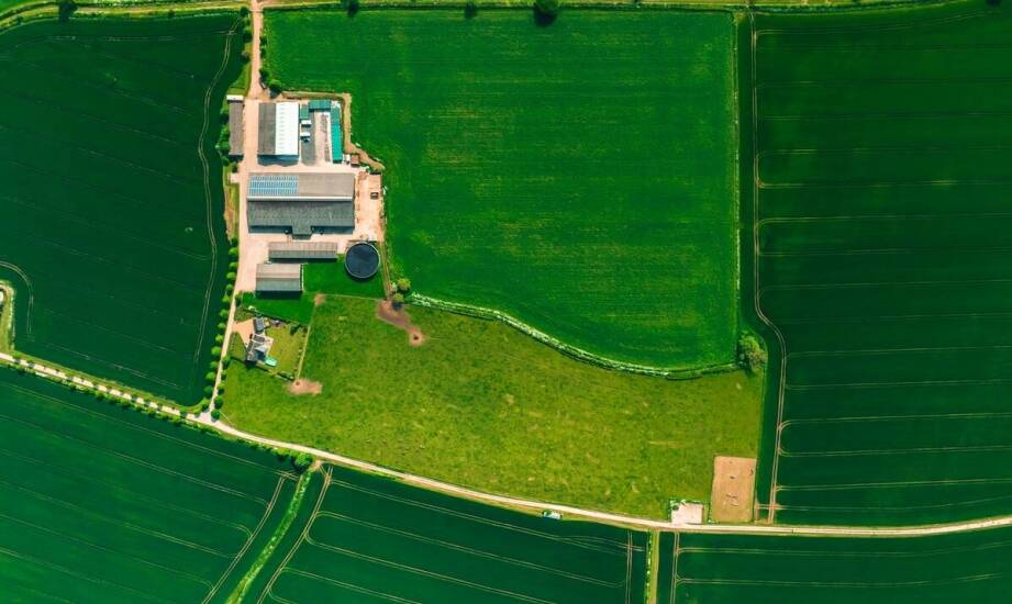 Mapowanie plonów a oszczędność środków ochrony roślin w wielkopolskich gospodarstwach