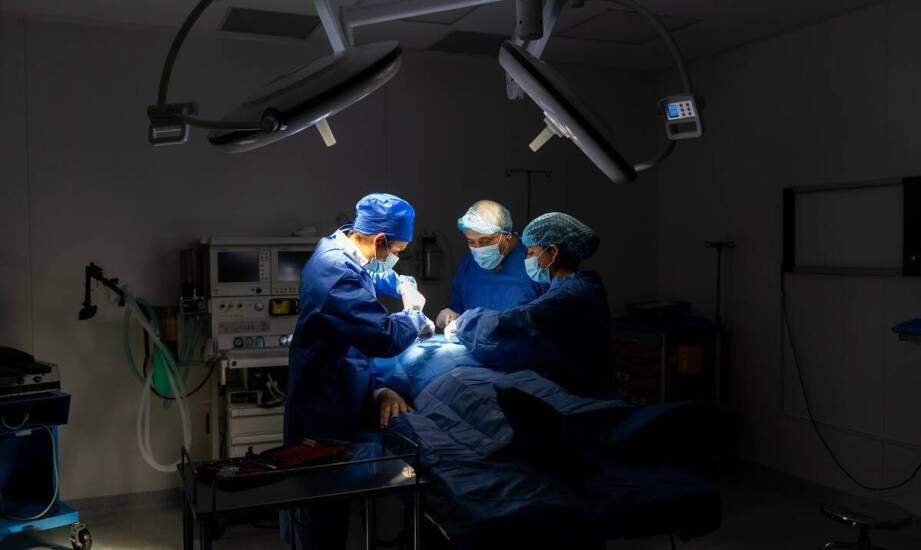 Jakie są nowoczesne techniki stosowane w chirurgii onkologicznej dla zwierząt?