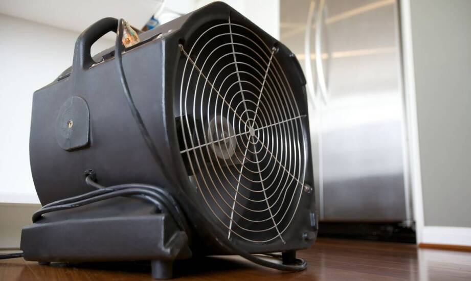 Rola ozonowania w dezynfekcji powietrza po zalaniach.