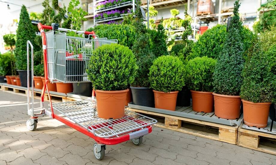 Jak internetowy sklep ogrodniczy wspiera rolnictwo zrównoważone?