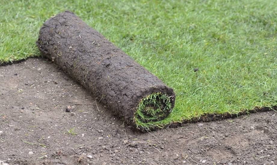 Trawa z rolki: kluczowe zalety dla sportowych przestrzeni