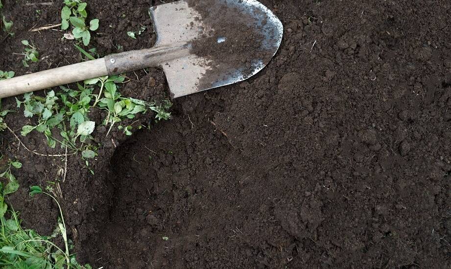 Porównanie tradycyjnego humusowania i nowoczesnego hydro-humusowania