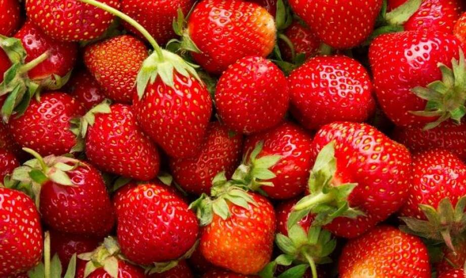 Jakie podłoże najlepiej wspiera wzrost truskawek?