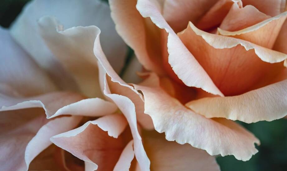 Zastosowanie papieru Epson Fine Art w druku artystycznym: co warto wiedzieć?