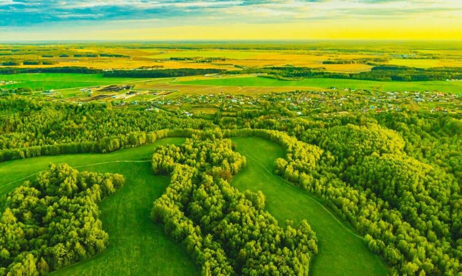 Jak można optymalizować wartość działki dzięki profesjonalnej wycenie?