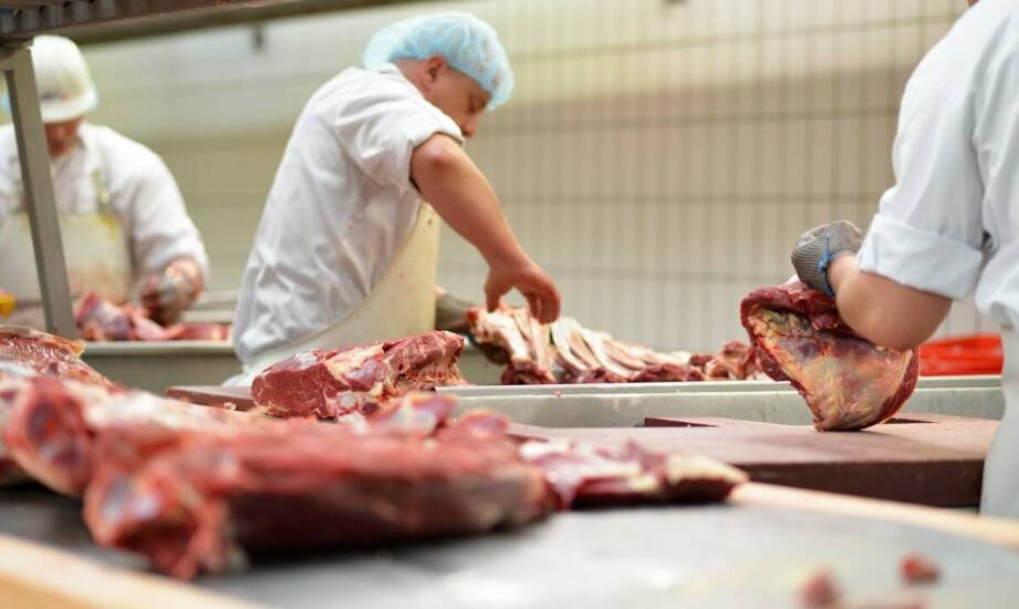 Rola maszyn masarskich w utrzymaniu wysokiej jakości mięsnych wyrobów