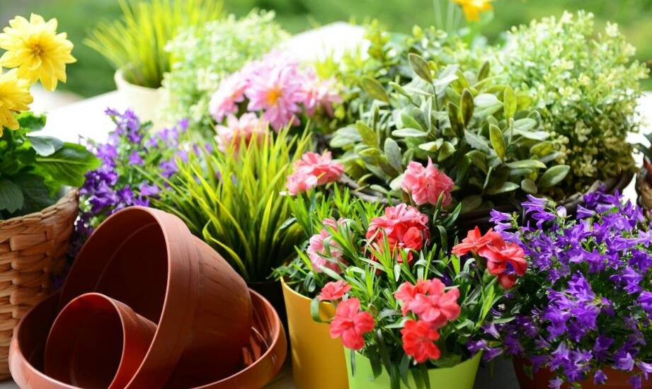 Jakie korzyści przynoszą wysokie ogrodowe donice 100 cm w małych przestrzeniach?