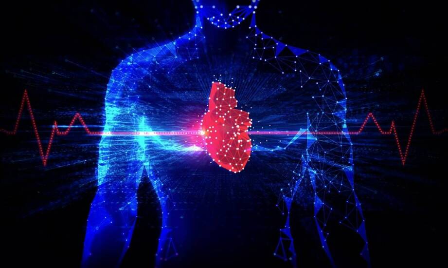 Jakie zastosowania ma ortogonalny układ w wizualizacji 3D obrazów medycznych?