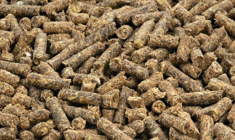 Ściółki dla koni - jakie są właściwości termoizolacyjne?