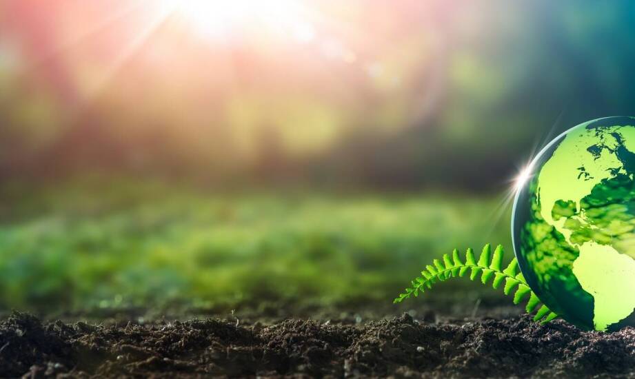 Jak odpowiednia pielęgnacja bardzo wczesnych ziemniaków sadzeniaków wpływa na jakość plonów?