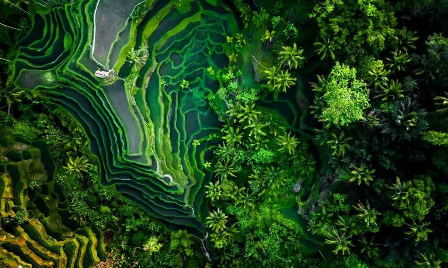 Rola barwników w zrównoważonym rozwoju przemysłu sztucznych tworzyw