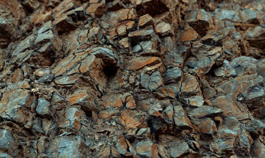 Wojskowa siatka maskująca 4x5 jako element ochrony przed wzrokiem zwierzyny