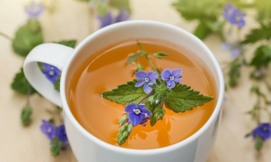 Ziołowe rozwiązania dla lepszego nastroju u osób z niebieskim typem osobowości