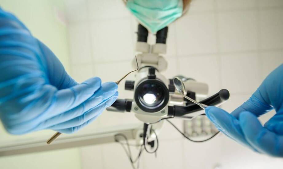 Jak weterynaryjna stomatologia wpływa na zdrowie jamy ustnej zwierząt?