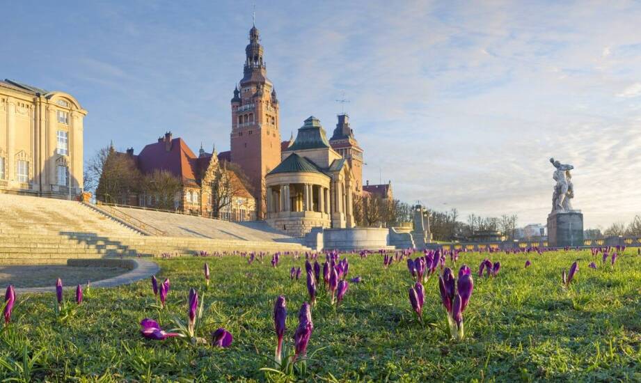 Jakie atrakcje czekają na gości wynajmujących apartamenty w pobliżu parku w Wilanowie?