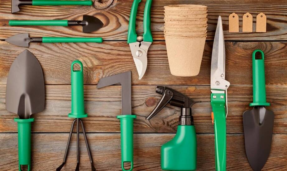 Jak utrzymać porządek dzięki ogrodowemu schowkowi Darwin?