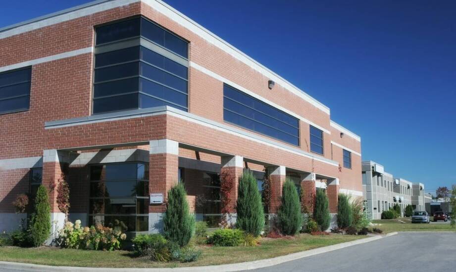 Strategia odszczurzania dla dużych komercyjnych obiektów