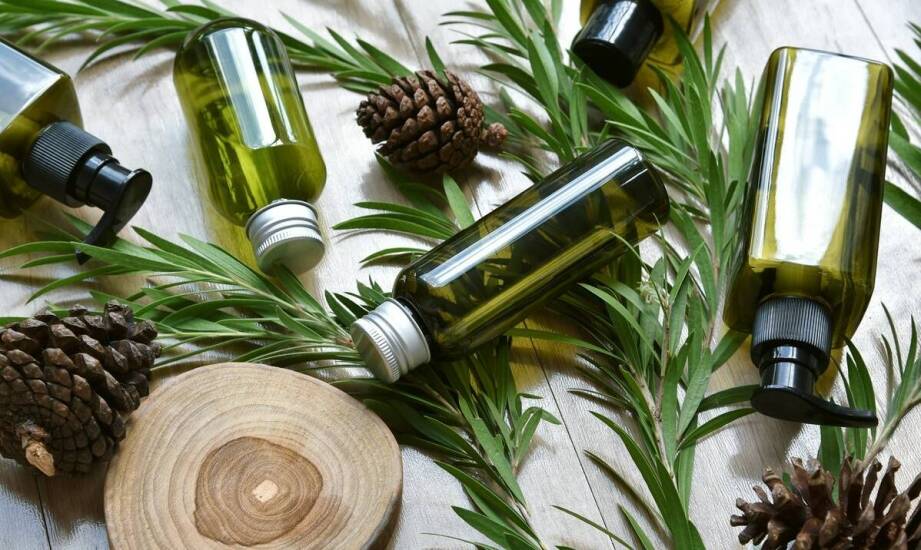 Co wpływa na różnice cenowe między markami olejów konopnych?