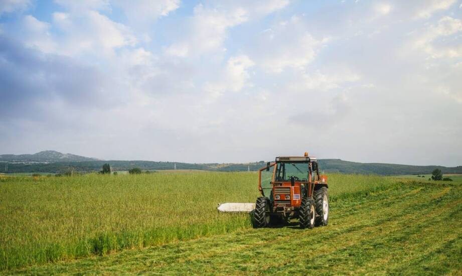 Rolniczy drapak a ekonomia hodowli – jak przekłada się na koszty?