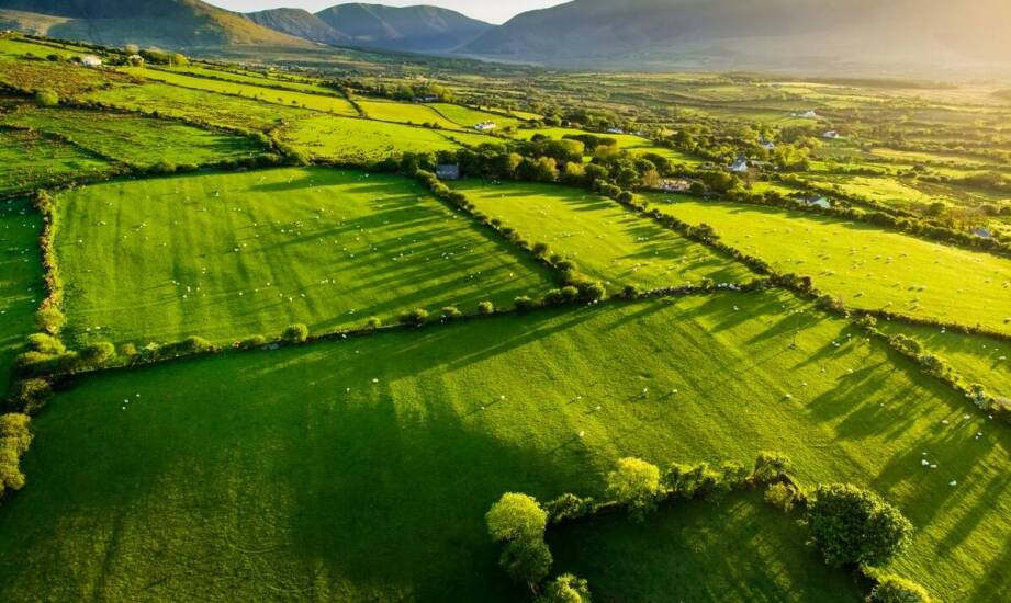 Zastosowanie słupków do pastucha w różnych terenowych warunkach
