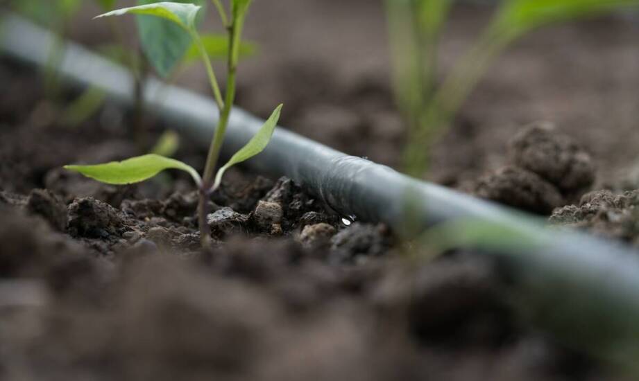 Rura do deszczowni 75 mm a nowoczesne technologie do nawadniania