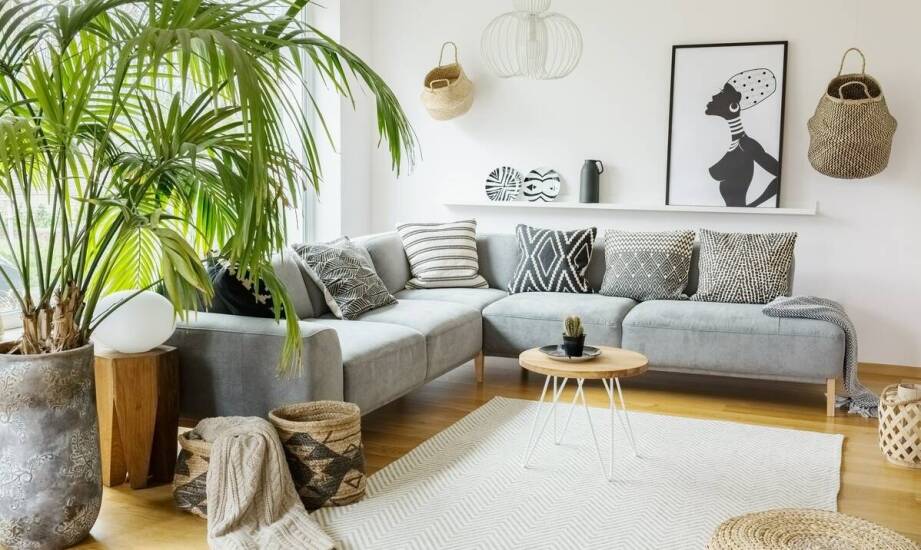 Zastosowanie peperomii w aranżacji wnętrz przyjaznych dla kotów.