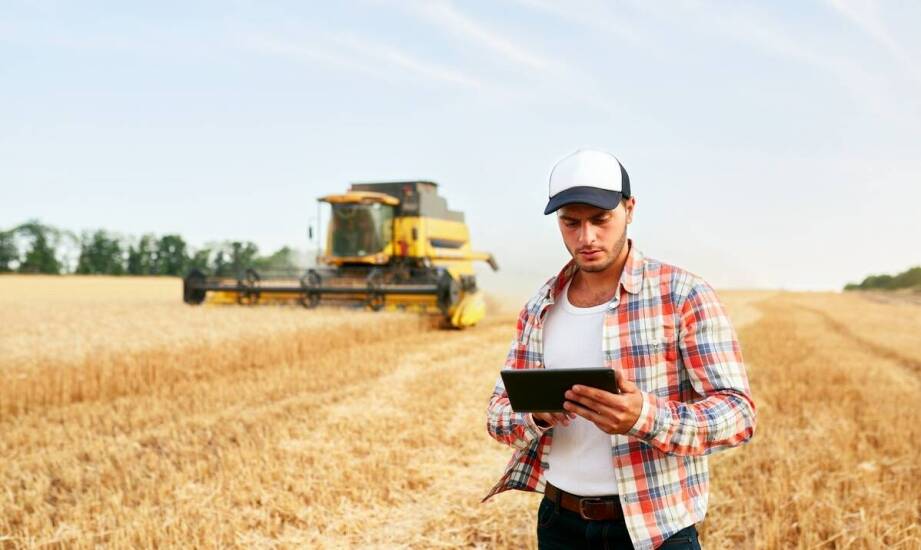 Nowoczesne technologie w gospodarstwie: jak wdrożyć informatyczne systemy?