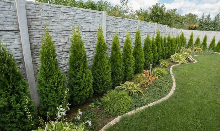 Zastosowanie betonowych obrzeży w projektach ogrodowych i ich wpływ na estetykę przestrzeni