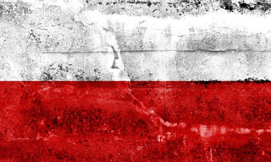 Różnice w regulacjach prawnych dotyczących dopuszczalnych promili w Niemczech i w Polsce