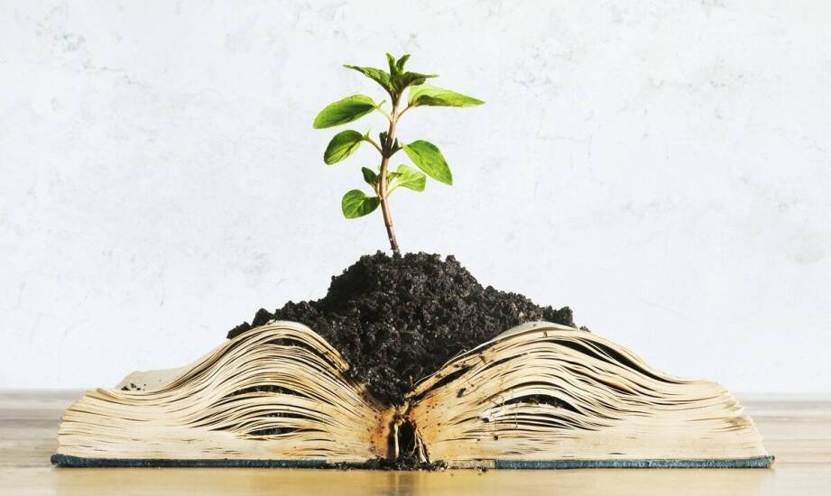 Kluczowe zagadnienia do omówienia na mapie myśli dotyczącej "Pana Tadeusza