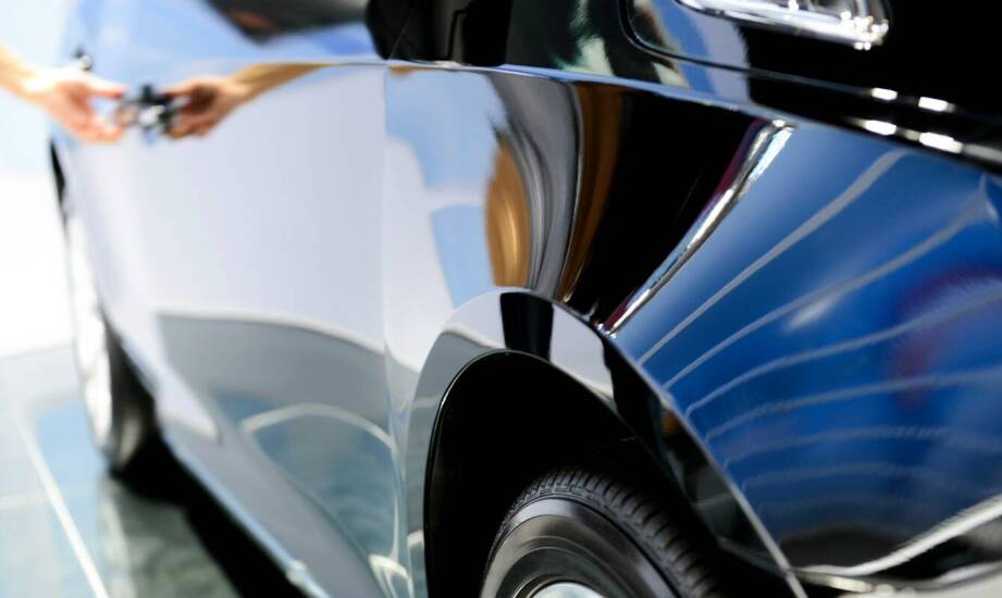 Czarny robak z długimi czułkami – jakie są główne cechy jego biologiczne?