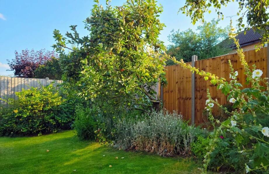 Palisadowe ogrodzenia a ochrona prywatności – co warto wybrać?