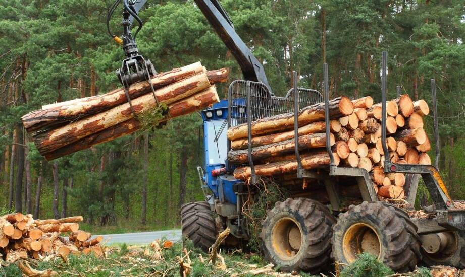 Jakie są kluczowe cechy wpływające na wybór odpowiedniej do drewna łuparki?