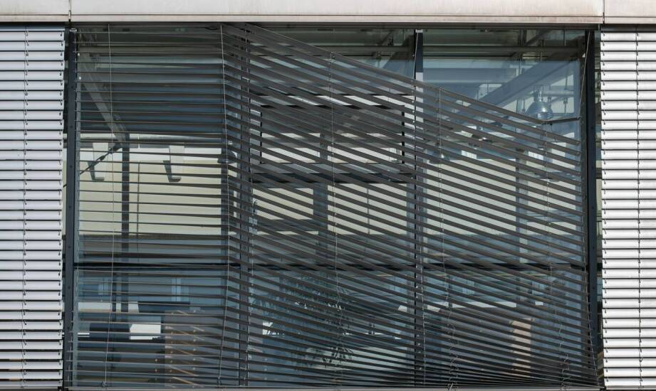 Jakie są możliwości dostosowania kolorów okien do elewacji budynku?