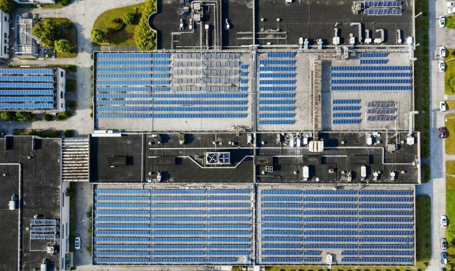 Jak producent kopert wspiera rozwój zrównoważony w branży opakowań?