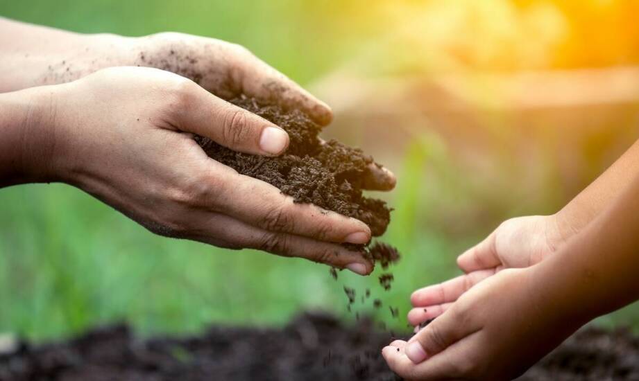 Najlepsze praktyki w stosowaniu mineralnych nawozów