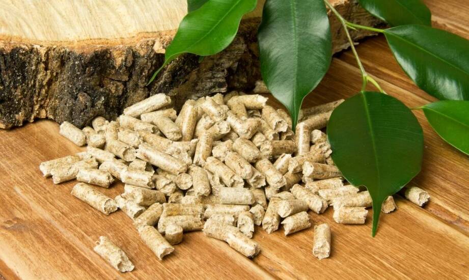 Dlaczego naturalne pellety do jedzenia to przyszłość zdrowych przekąsek?