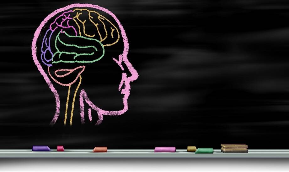 Szkolenia z zakresu neuroróżnorodności: dlaczego są ważne dla współczesnych organizacji?