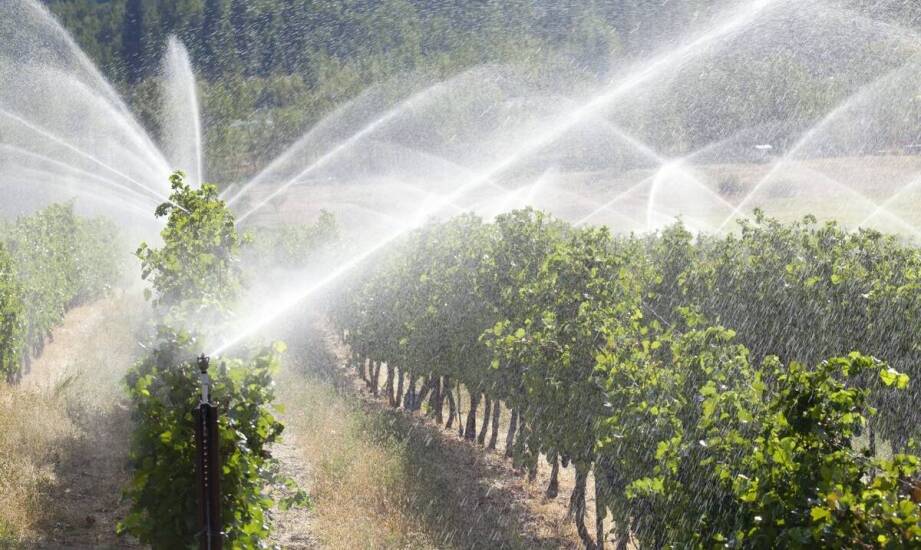 Systemy nawadniające a ochrona środowiska – jakie dostępne są rozwiązania?