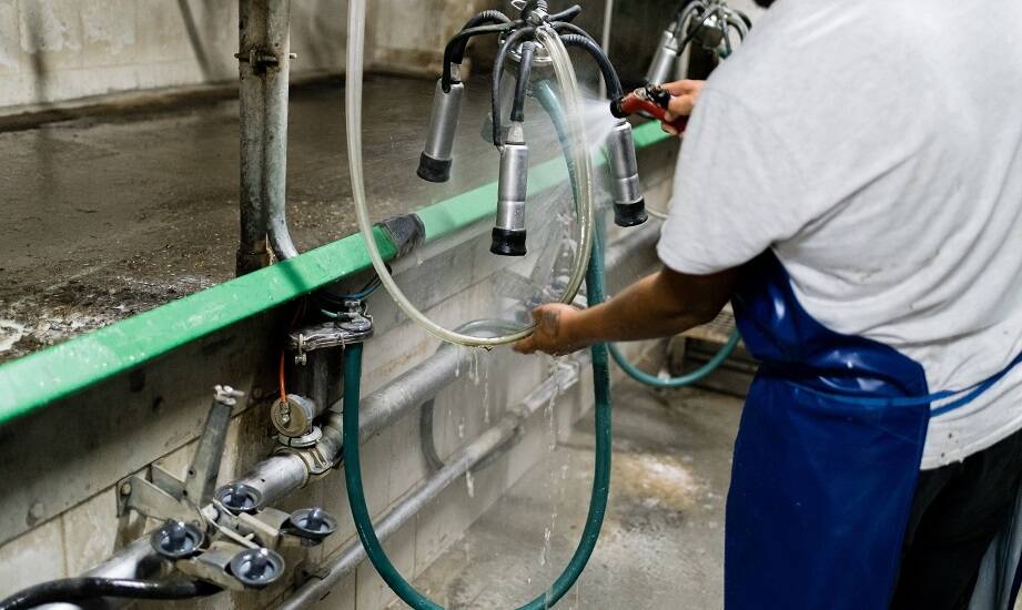 Mycie udojowych systemów – klucz do utrzymania wysokiej jakości mleka